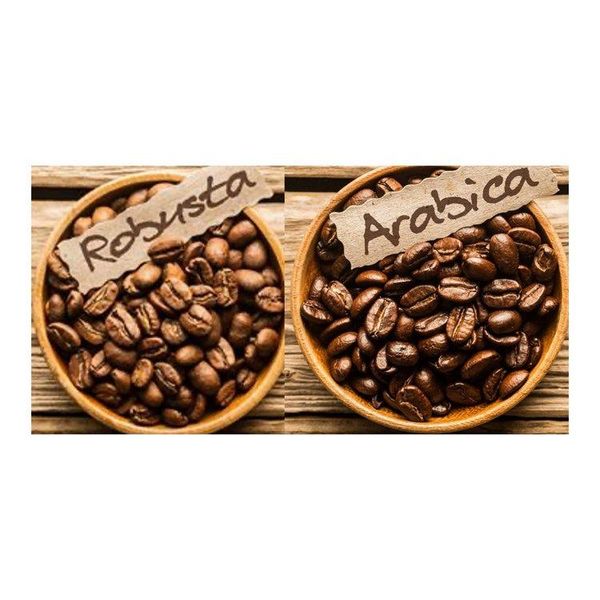 Robusta Coffee Beans - Fresh and Crisp