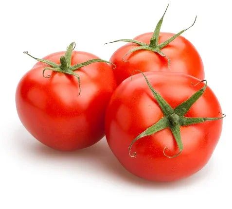Fresh Red Tomato