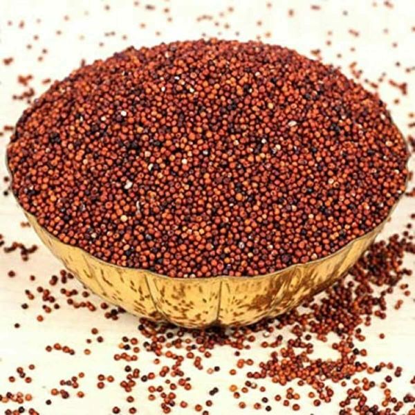 Organic Finger Millet - Premium Grade