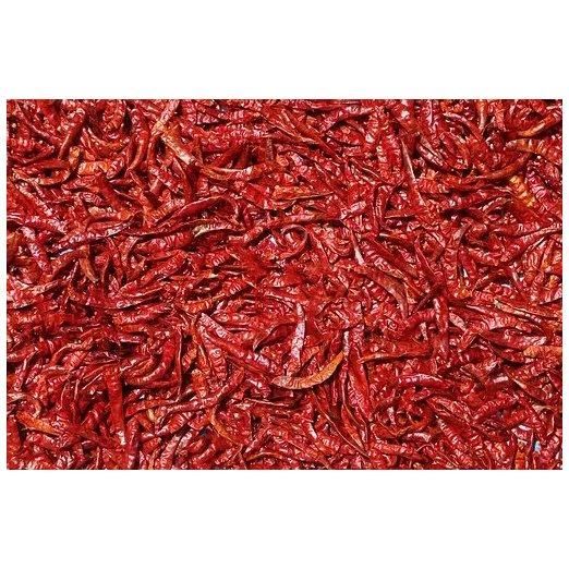 Bulk Dry Red Chilli