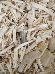 Eucalyptus Wood Chips