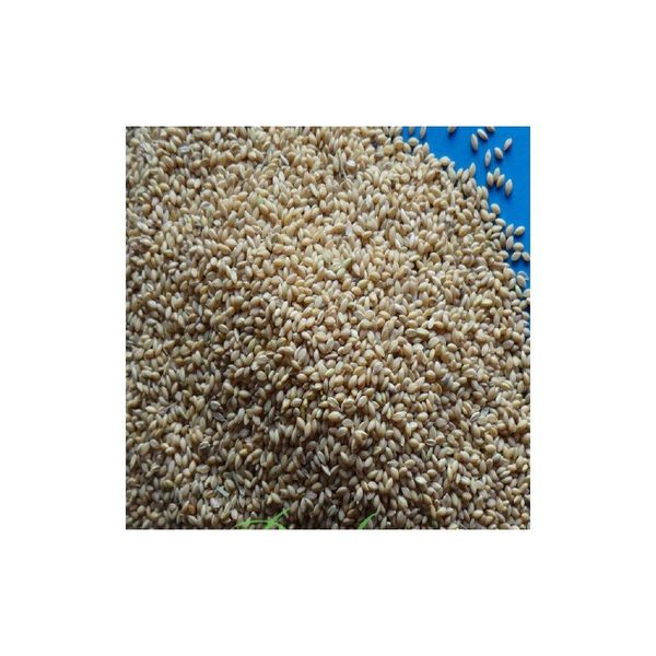 Bulk Yellow Millet - Product 4