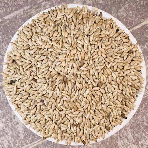 Nutrient-Dense Canary Seed in Flexible Packaging