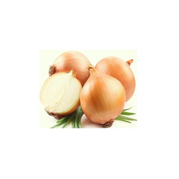 White Onion Powder - Bulk Packaging, Industrial Grade