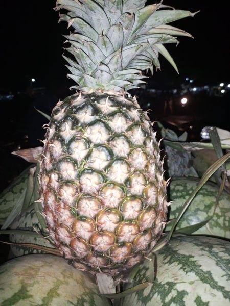 Fresh Pineapple Product