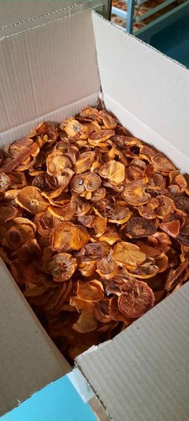 Dried Persimmon