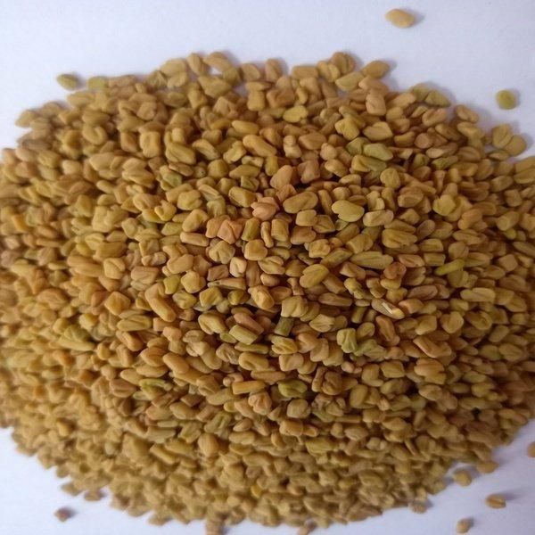 High-Quality Fenugreek Seeds for Industrial Use