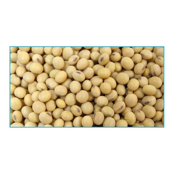 Soybean Product 1