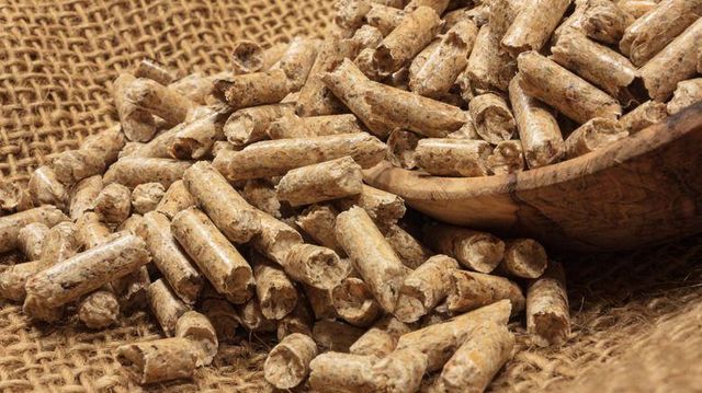 Pine Wood Pellets - Premium Quality Bio Fuel