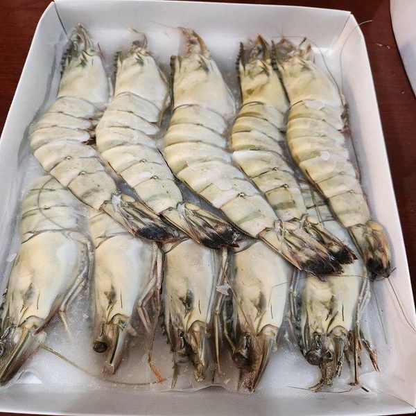Frozen Black Tiger Shrimp
