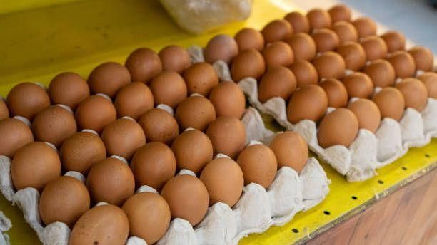 Brown and White Shell Chicken Eggs