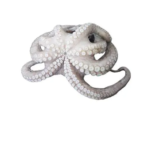 Cooked Octopus Leg - Premium Frozen Fish