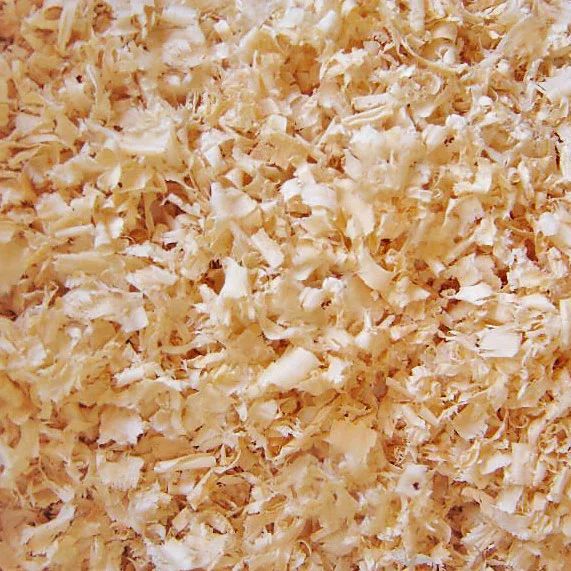 Sawdust spread in animal bedding area