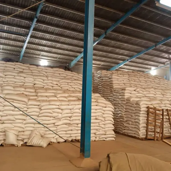Dried Pinto Bean