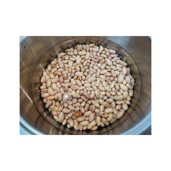 Premium Sugar Beans