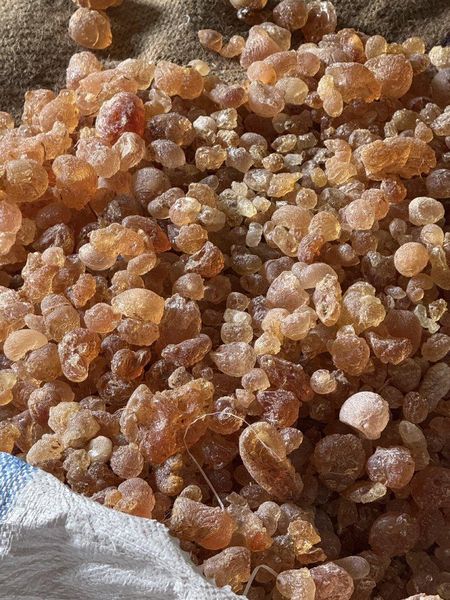 Gum Arabic