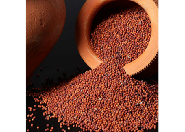 Finger Millet - Natural Ragi