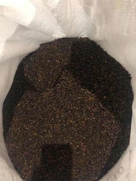 Black Pepper - Professional Processing