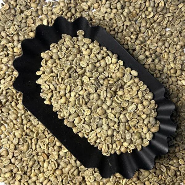 Kopi Robusta Biji Hijau Grade 1