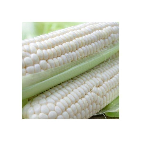 Premium-grade white maize