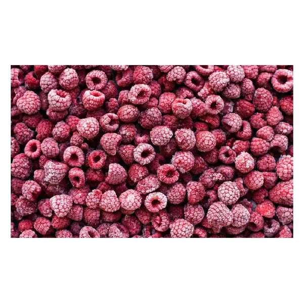 Fresh bulk raspberries for food processing and export