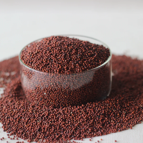 Finger Millet Grain - Premium Grade