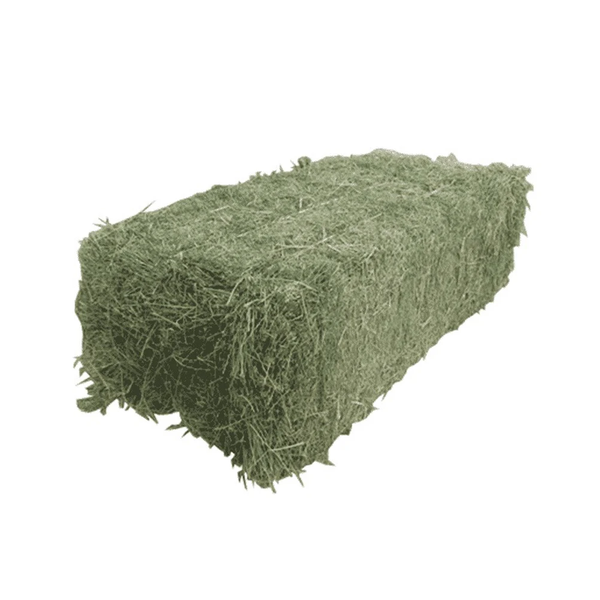 Alfalfa Hay Stack
