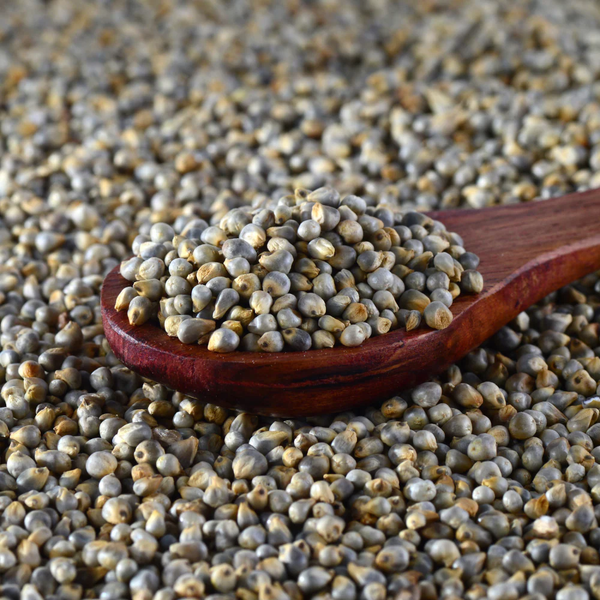 Pearl Millet - Natural Bajra