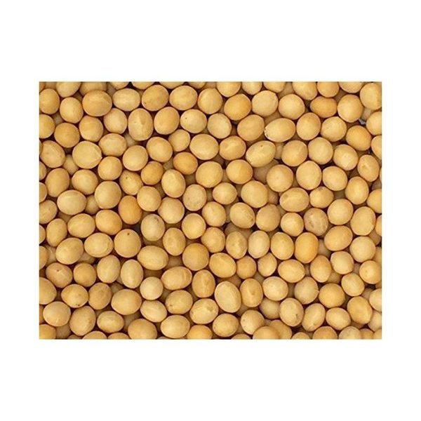 Soybeans in sealed packaging