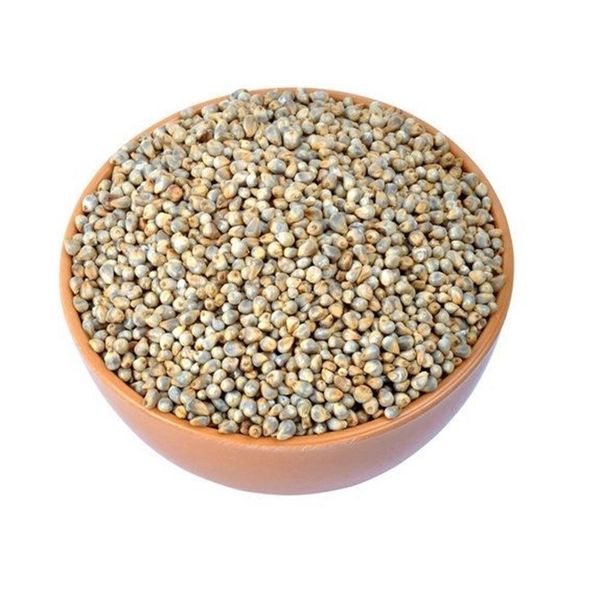 Bulk Bajra Storage