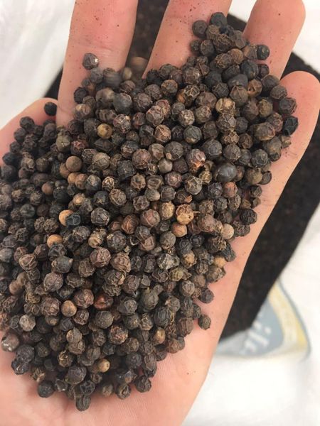 Black Pepper - Freshness & Purity