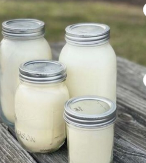 Natural Beef Tallow Skin Cream
