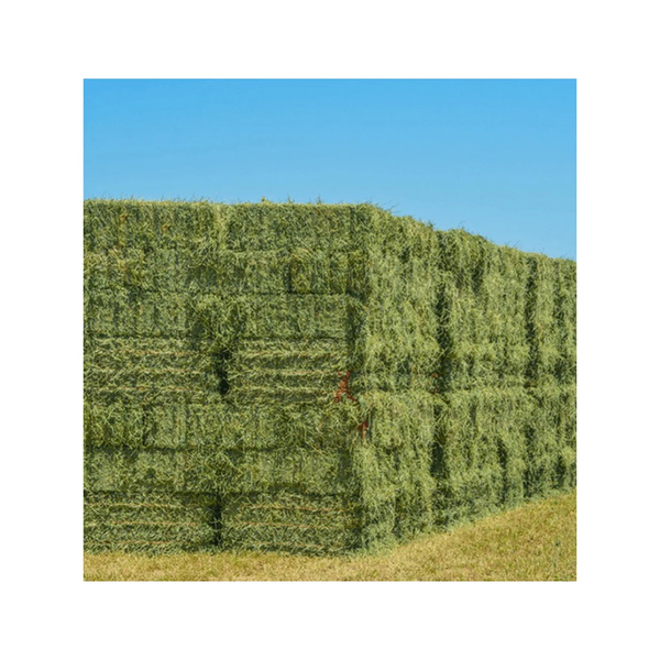 Alfalfa Hay for Livestock