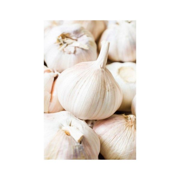 Fresh Peeled Garlic
