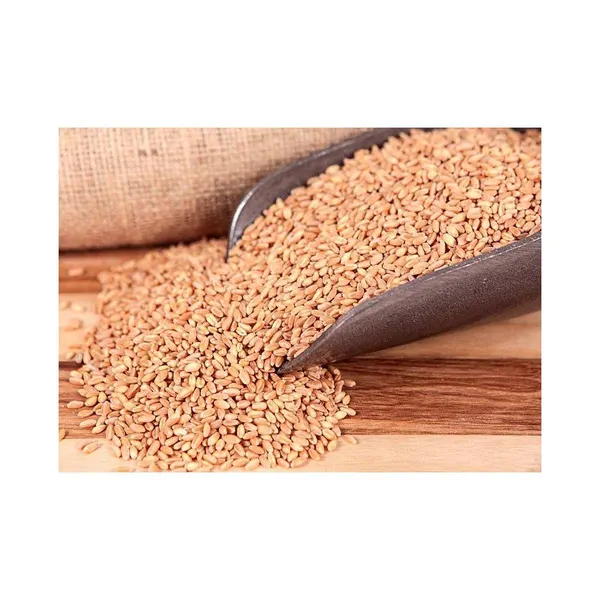 Premium Wheat Grain - Stone Ground
