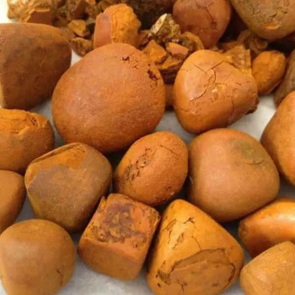Ox Gallstones (Bladder Type)