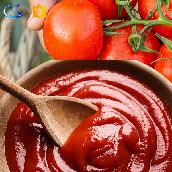 Tomato Powder in Bulk Container