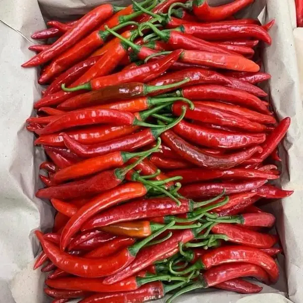 Chilli-Vinegar
