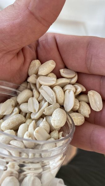 Raw Peanut Kernel