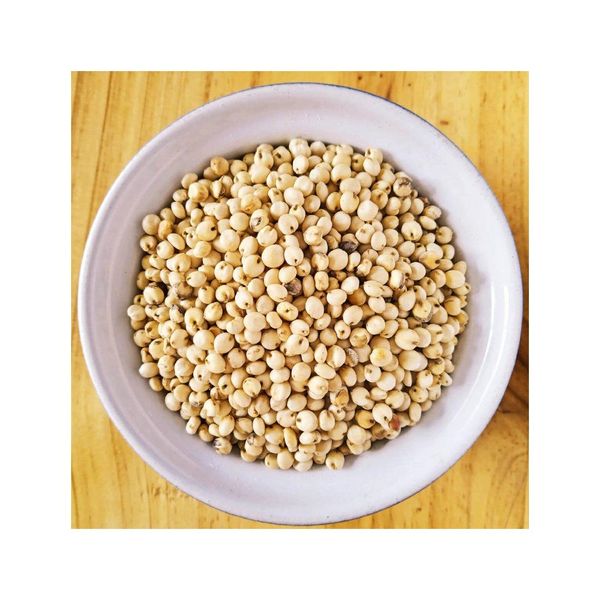 Sorghum Grain in Storage Bin