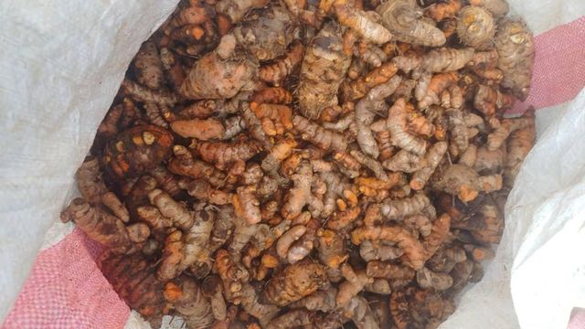 Raw Turmeric Paste