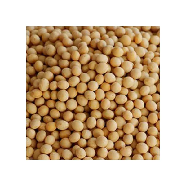 High Quality Non GMO Yellow Soybeans
