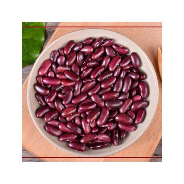 Bulk Red Kidney Beans - Fresh and Uniform