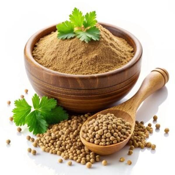 Refined Dry Coriander Seeds
