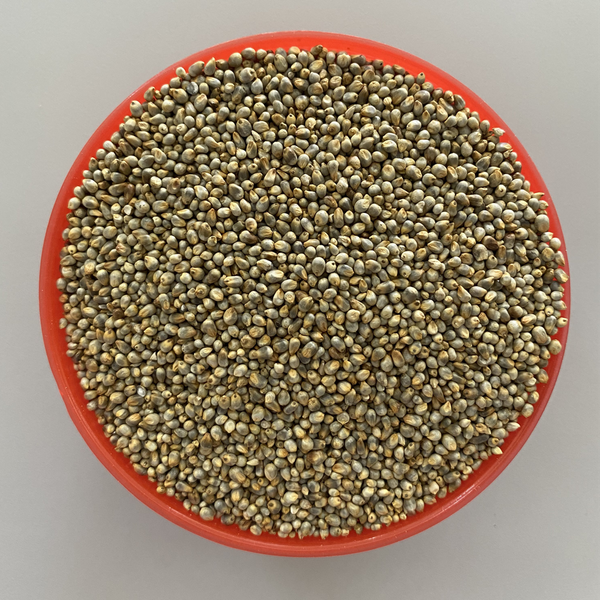 High Quality Pearl Millet Grain