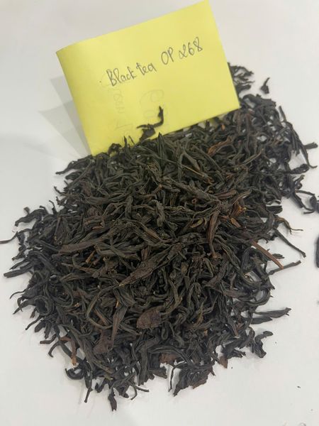 Black Tea OP Product