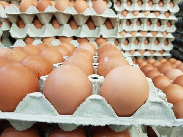 Farm Fresh Chicken Table Eggs