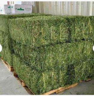 Hay Storage Container