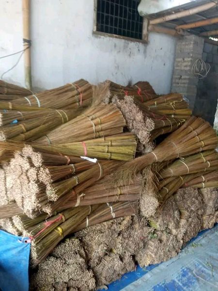 Coconut Broom Product