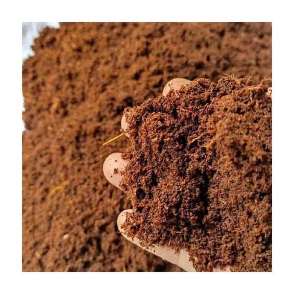 Coconut peat in container